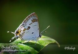 IMG_0196edit