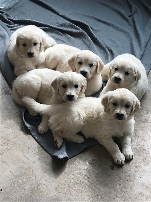 Photo Feb 13 2023, 10 55 43 AM.jpg