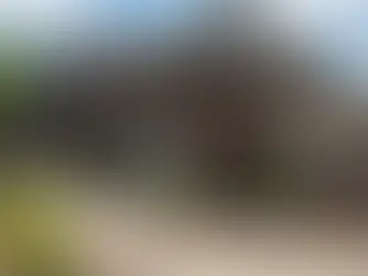 Modern custom home exterior by Frazier Homes showcasing completed elevation, rooflines, and window placement, illustrating key new construction do’s and don’ts.