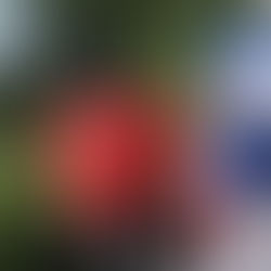 Oak Ridge Football Sept. 15, 2015 Practice Photo Gallery