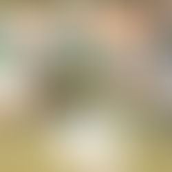 Photo Gallery: The Woodlands Freshman vs Conroe