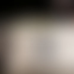 Photo Gallery: The Woodlands High School Class of 2017 National Honor Society Induction Ceremony