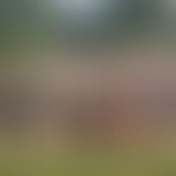 Cross Country | Boys & Girls 2017 District 6A Championship Photo Gallery