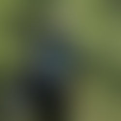 Photo Gallery: 2016 District 16-6A Boys Golf Championship (Day 1)