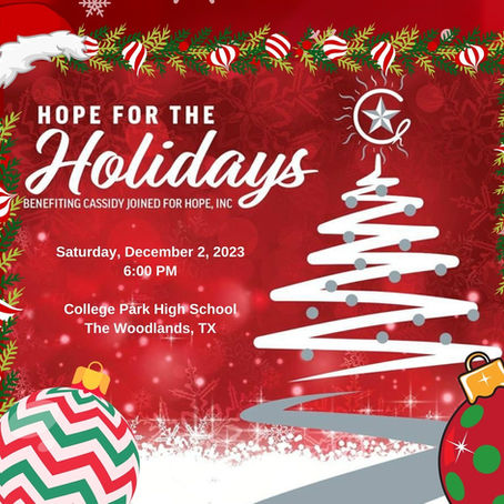 Hope and Joy Light Up The Season: Montgomery County Welcomes Back ‘Hope for the Holidays’ Show