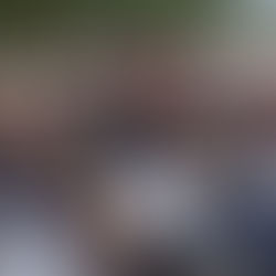 College Park Orchestra Walmart Academy Performance Photo Gallery