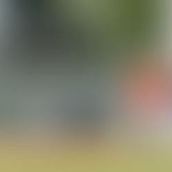 Baseball | College Park at Oak Ridge Photo Gallery