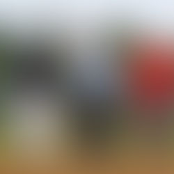 Baseball | The Woodlands at College Park Photo Gallery