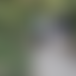 Announcing FIT Balance Group Class!