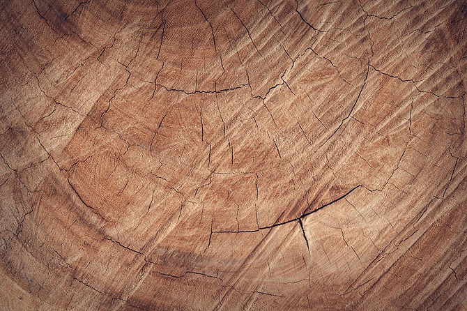 end grain.jpeg