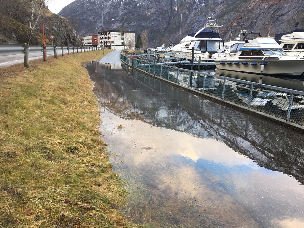 Springfloa 15.januar