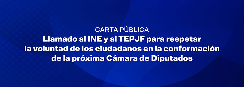 carta diputados nacional.jpg