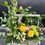 Thumbnail: french garden box
