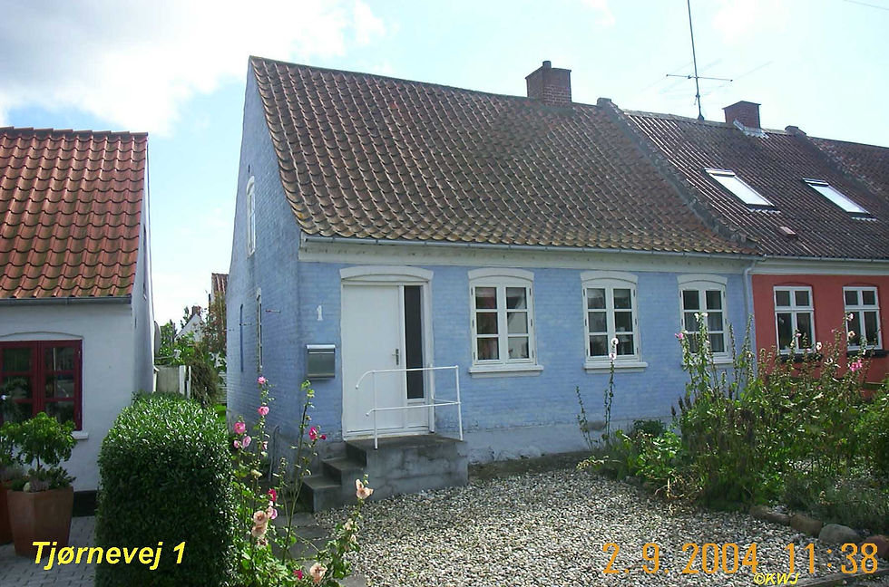 Tjørnevej 01
