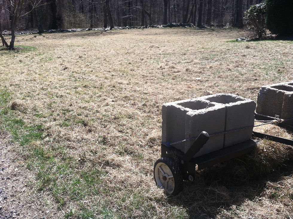 Miles of Landcare team performing dethatching with specialized equipment.