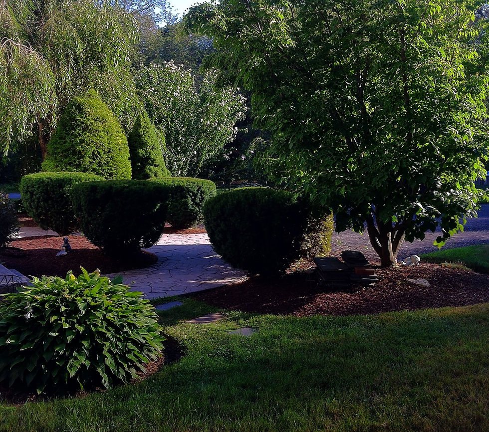 landscaperinfranklinma.jpg