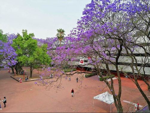 uam-azcapotzalco-fb-universidad-autonoma.jpg