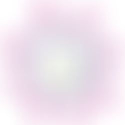 Gene Expression Essentials