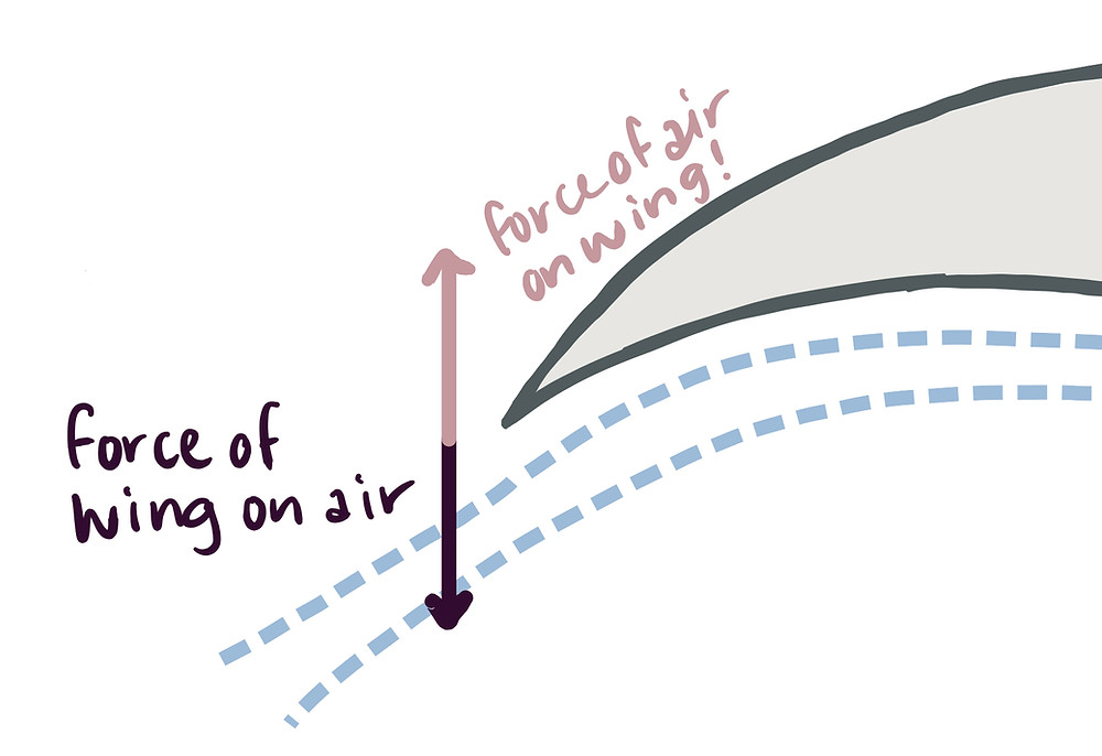 Cartoon demonstrating that the airplane wing exerts a down force on the airstream, and the airstream exerts an equal and opposite force on the wing in the up direction.