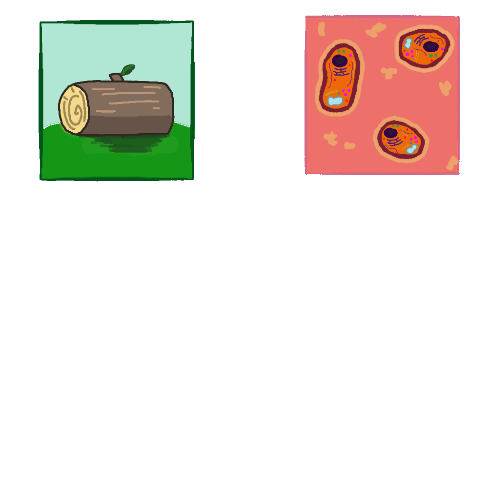 On the left individual pieces of wood are stacked to become a log cabin. On the right individual cells make up living tissue which in turn makes up a liver.
