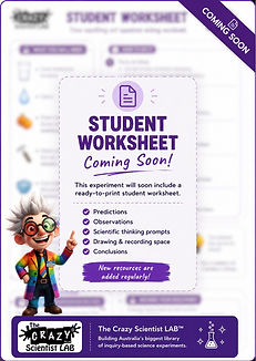 the-crazy-scientist-life-jacket-student-worksheet-density-floating-experiment.jpg