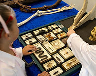 boy-science-toy-lab-coat-party-spring-farm.jpg