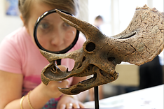 Crazy Dino Workshop sm-3.jpg