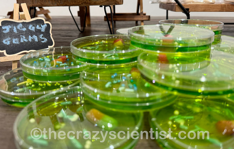 germs in petri dishes at kids science party