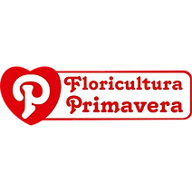 Design sem nome (4).png