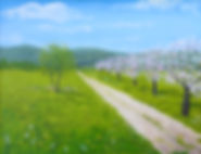 2.dvanderoef blossoms.jpeg