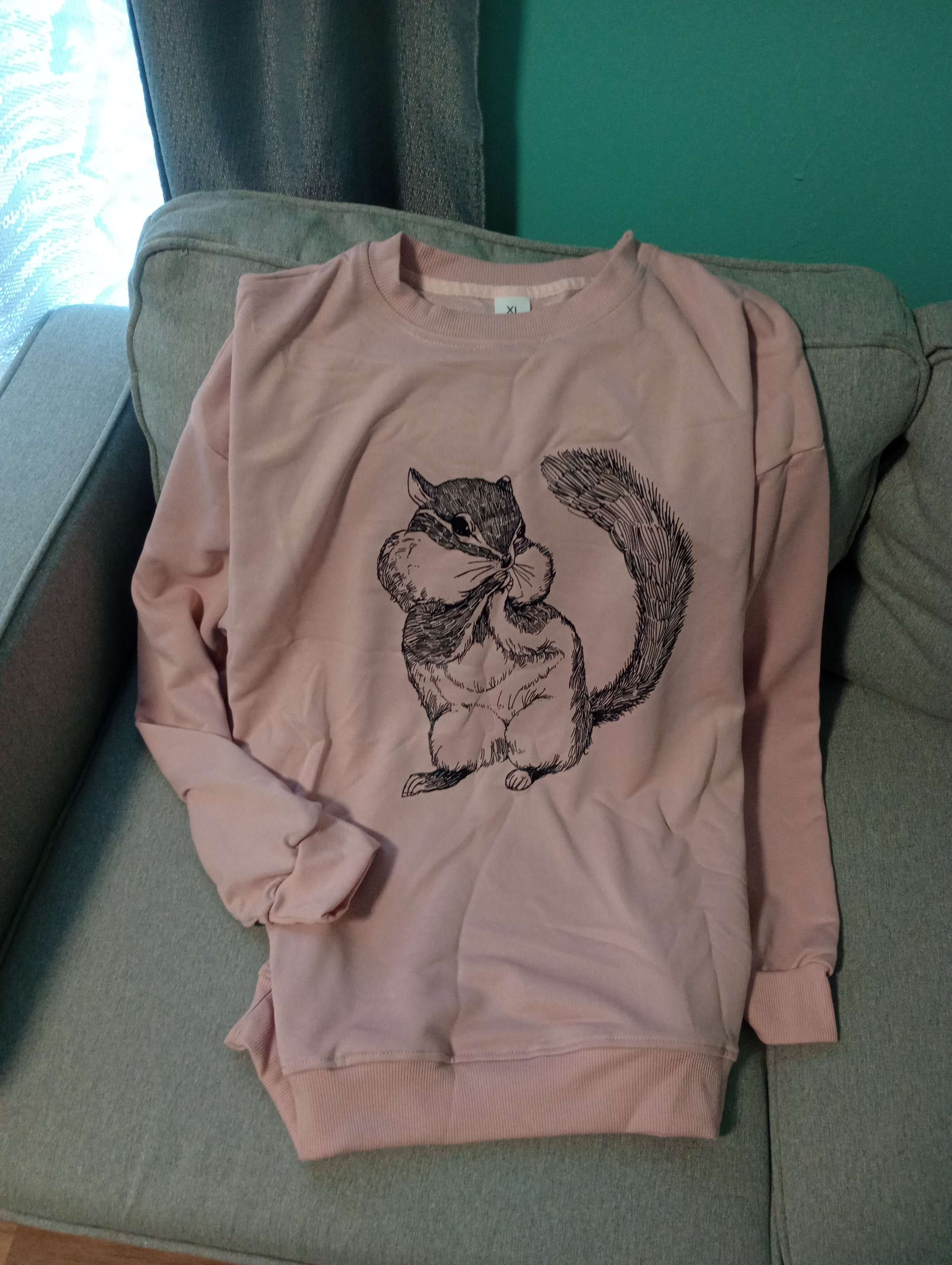 Squirrel grey sweatshirt 