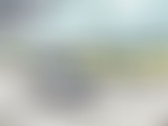 Honda Have Done a U-Turn on EVs