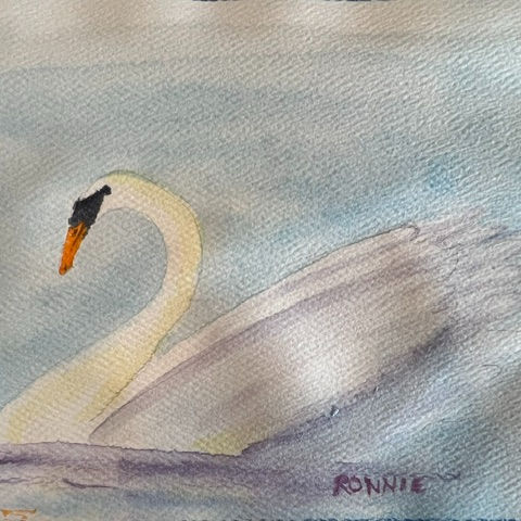 Be a Swan