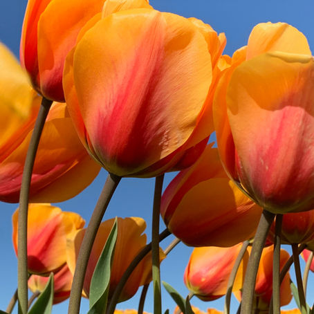 Sincere Appreciation