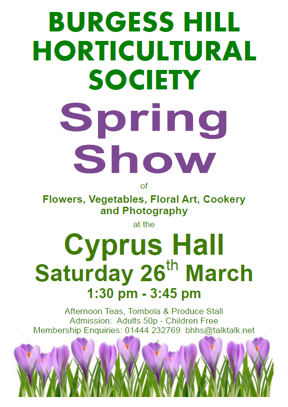Spring Show 2016