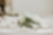 R6__0003.jpg