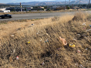 Don't be Trashy: lessons from litter