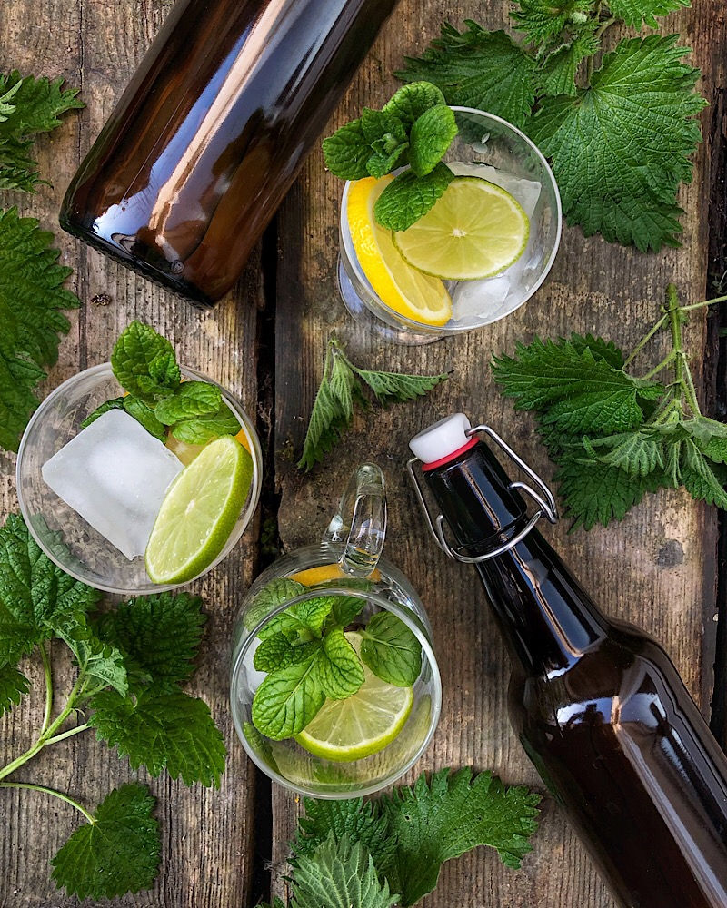 Easy Nettle Beer Recipe
