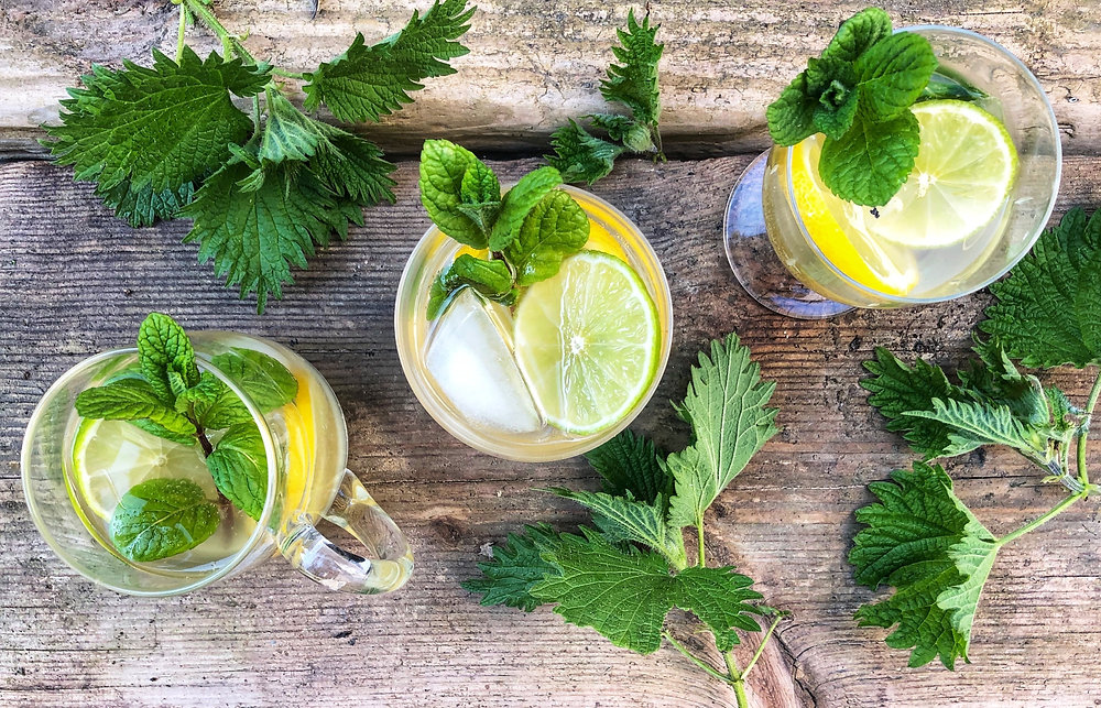 Easy Nettle Beer Recipe