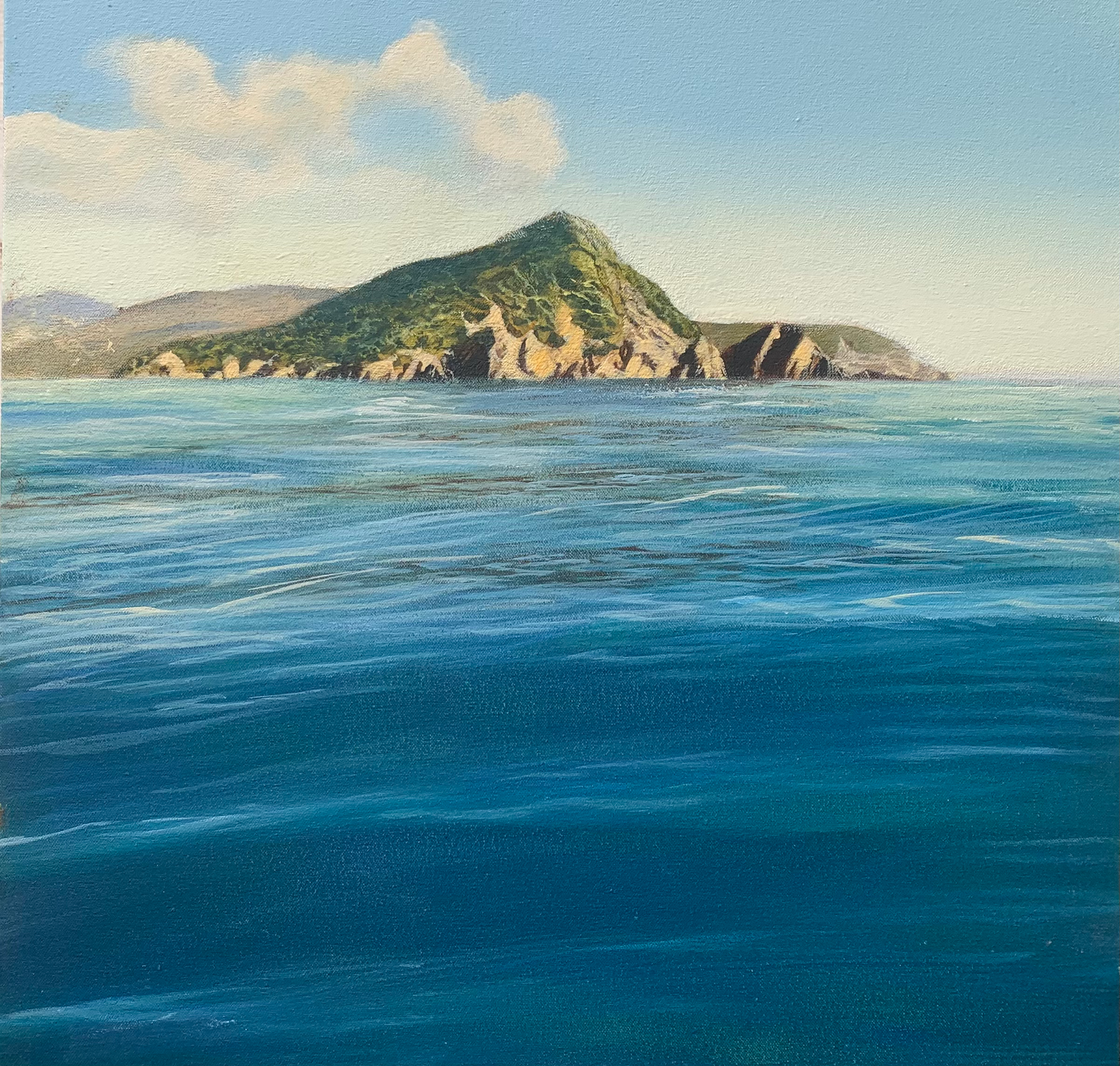 Ōkiwi Bay Tasman NZ
