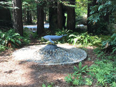 Art In The Redwoods