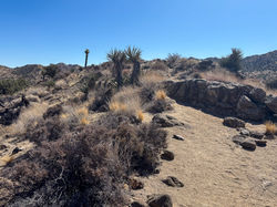 Black Rock Canyon-14