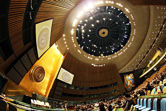 United Nations General Assembly 