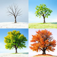 Change is when, not if...