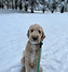 IMG_0589.jpeg
