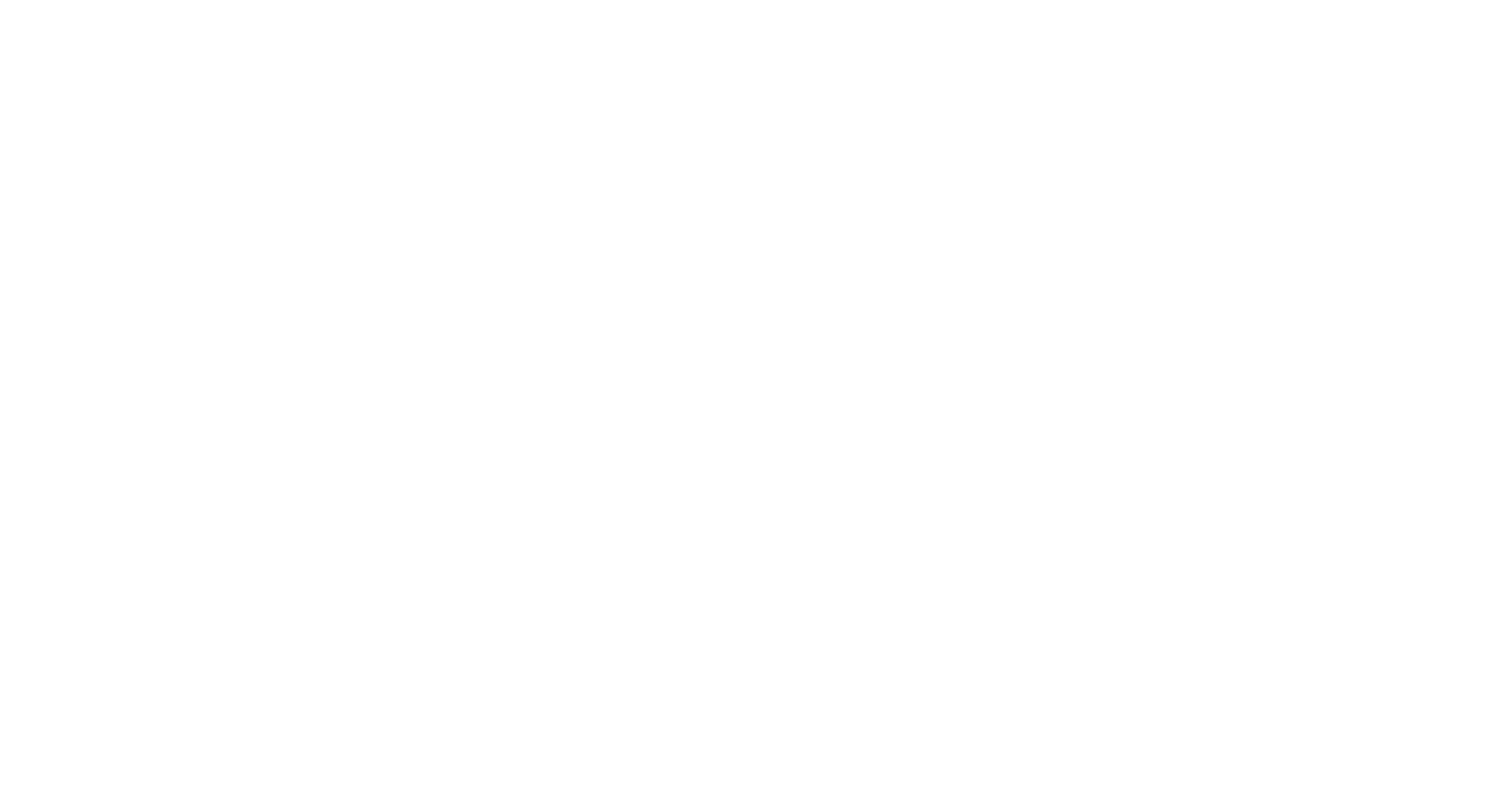 DCH - white_logo_transparent_background.png