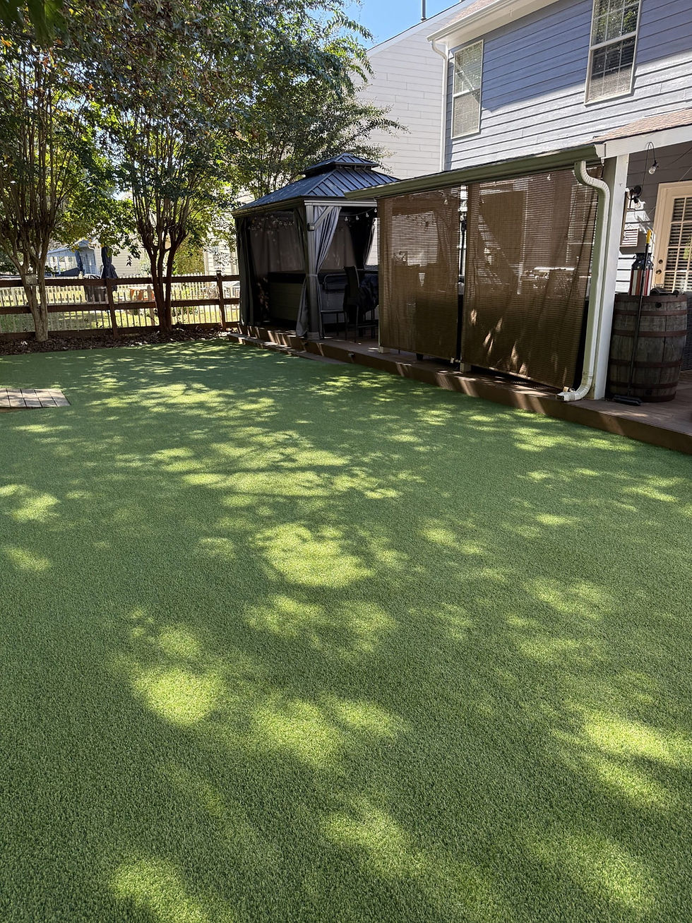 Huntersville Pet Turf Installation: Transforming a Shaded Backyard for a Family and Their Dogs