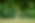Tree in lush green Azores landscape with a woman doing yoga in front