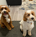 image4.jpeg
