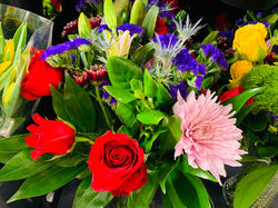 217A576F-DAAE-4614-8701-21008E725560_1_2